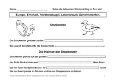 Lückentext-Stockente1-2-Seite-1-14.pdf